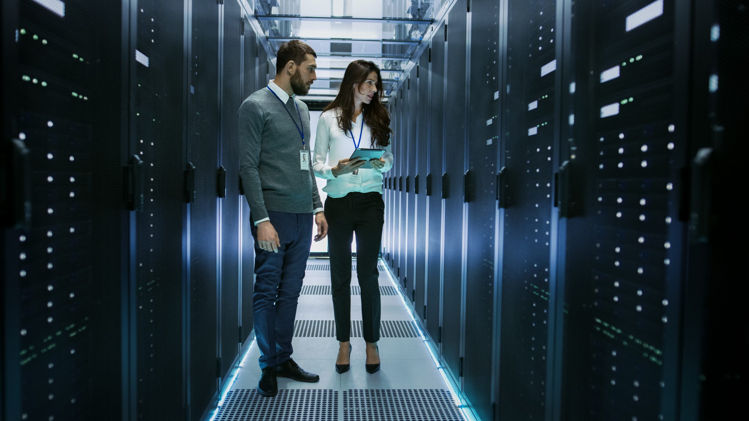 Hosting & Maintenance